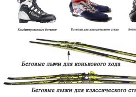 Cara memilih alat ski: tips yang dapat diakses untuk pemula dan penggemar olahraga Harus memiliki alat ski