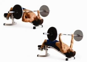 Incline bench press: technique and important nuances of the exercise Bench press and incline press