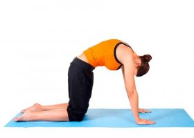 Exercises for the spine - yoga for a straight back and posture correction