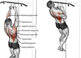 Close-grip pull-ups - which muscles work?