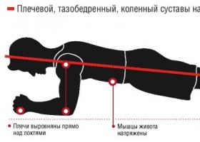 Plank egzersizi: hangi kaslar çalışır ve güçlenir