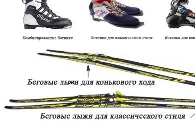 Jak vybrat lyže: dostupné tipy pro začátečníky a sportovní fanoušky Lyže musí mít