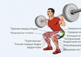 Tips for proper squatting technique with a barbell on your shoulders Technique for performing a squat with a barbell on your shoulders